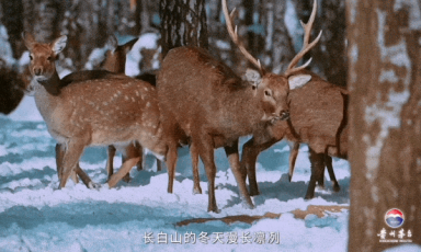 万水千山系列纪录片